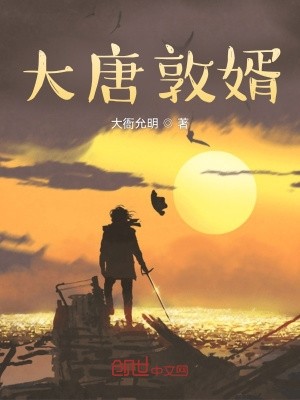 大唐敦婿封面