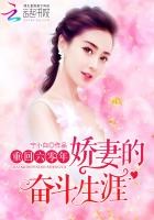 重回六零年:娇妻的奋斗生涯封面