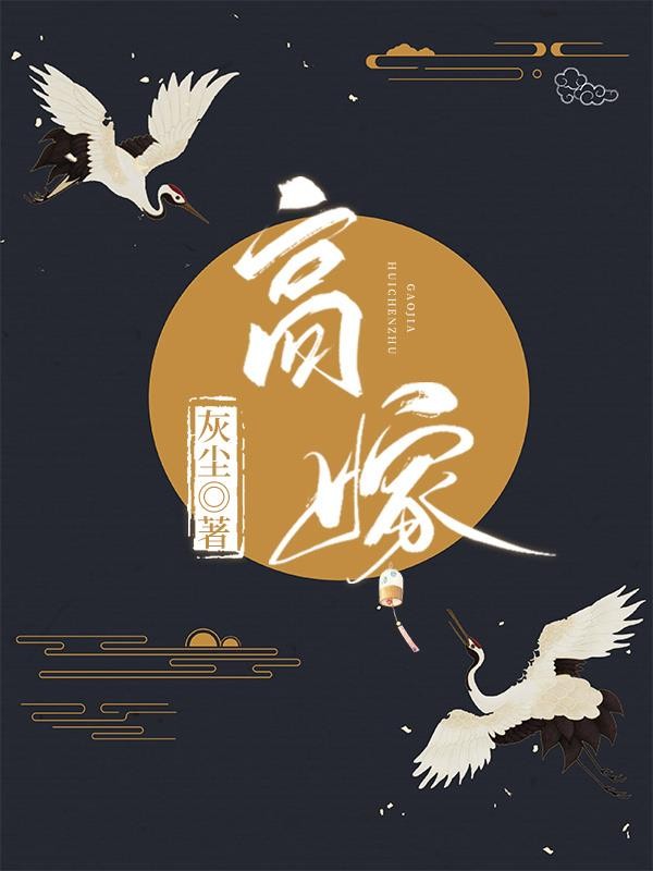 高嫁封面