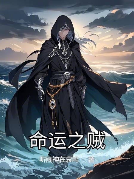 命运之贼封面