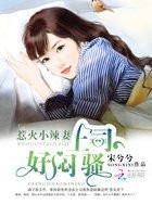 惹火小辣妻:上司,好闷骚封面