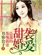 甜婚袭爱,总裁的落魄新妻!封面