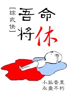 [综武侠]吾命将休封面