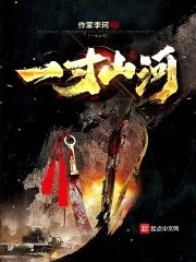 一寸山河封面