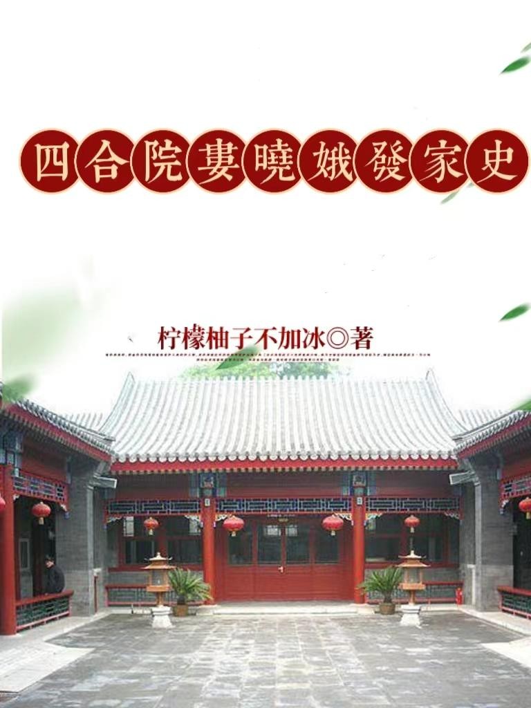 四合院:娄晓娥发家史封面