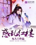 惑乱红楼封面