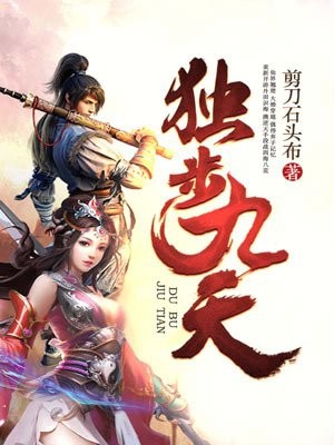 独步九天封面