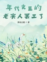 年代文里的老实人罢工了封面