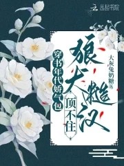 穿书年代娇气包,狼犬糙汉顶不住封面