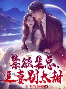 禁欲裴总,追妻别太甜封面