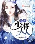 你好,少将大人封面