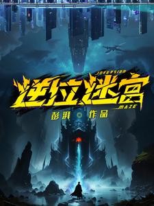 逆位迷宫封面