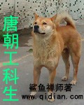 唐朝工科生封面