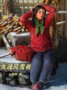 百味人生第一部:失魂风雪夜封面