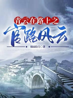 青云在路上之官路风云封面