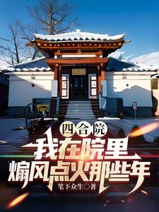 四合院:我在院里煽风点火那些年封面