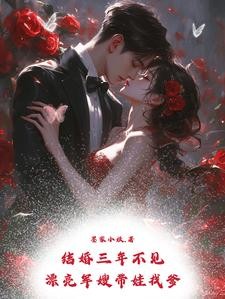 结婚三年不见,漂亮军嫂带娃找爹封面