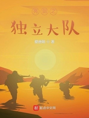 亮剑之独立大队封面