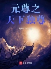 元尊之天下独尊封面