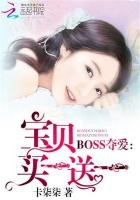 BOSS夺爱:宝贝买一送一封面