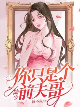 陆少,你只是个前夫哥封面