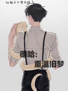 德哈:重温旧梦封面