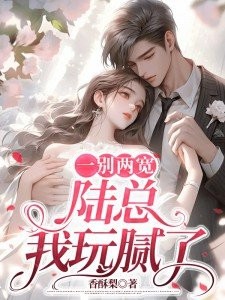 一别两宽,陆总我玩腻了!封面