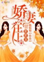 娇妻在上,蜜蜜宠!封面