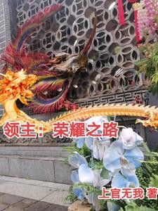 领主:荣耀之路封面