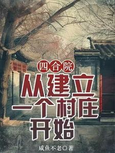 四合院:从建立一个村庄开始封面