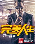 完美人生封面