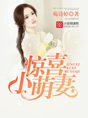 惊喜小萌妻封面