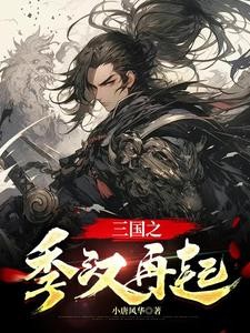 三国之季汉再起封面