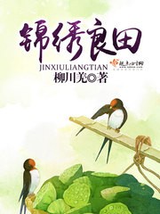 锦绣良田封面