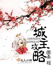 城主攻略封面