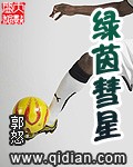 绿茵彗星封面