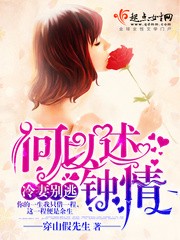 何以述钟情封面