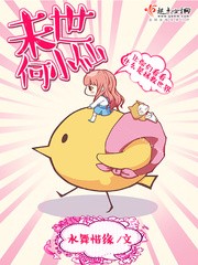 未世何小仙封面