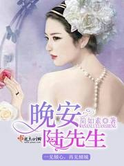 晚安,陆先生封面