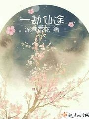 一劫仙途封面