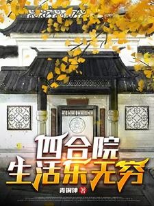 四合院生活乐无穷封面