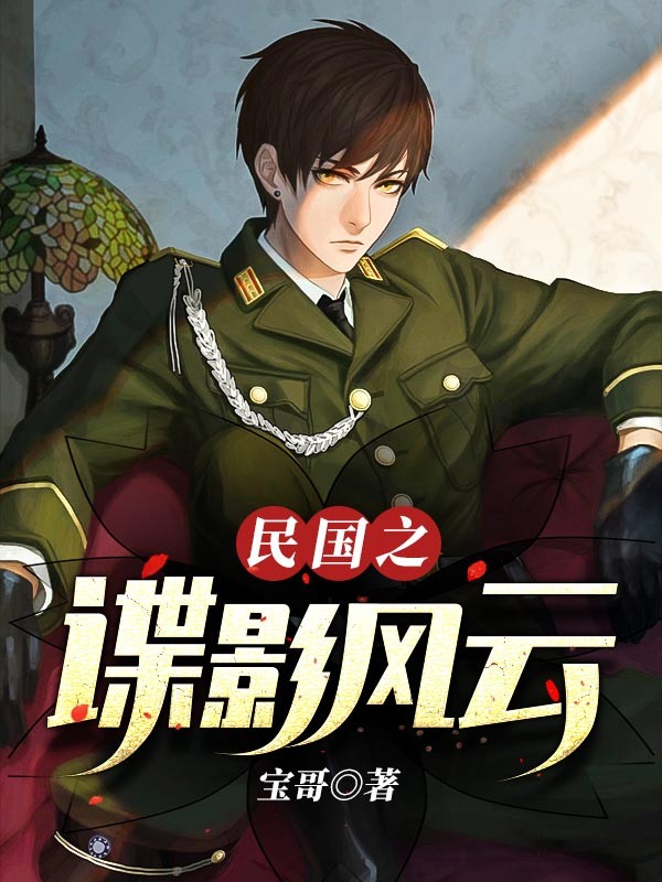 民国之谍影风云封面
