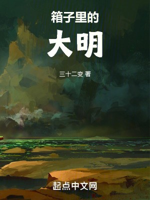箱子里的大明封面