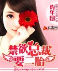 禁欲总裁要二胎封面