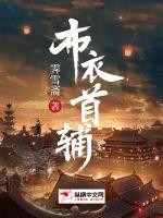 布衣首辅封面