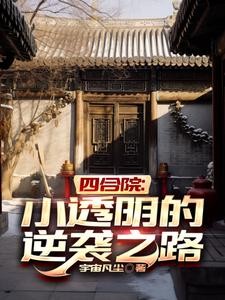 四合院:小透明的逆袭之路封面
