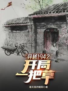 穿越1942有空间封面
