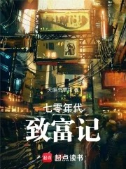 七零年代致富记封面