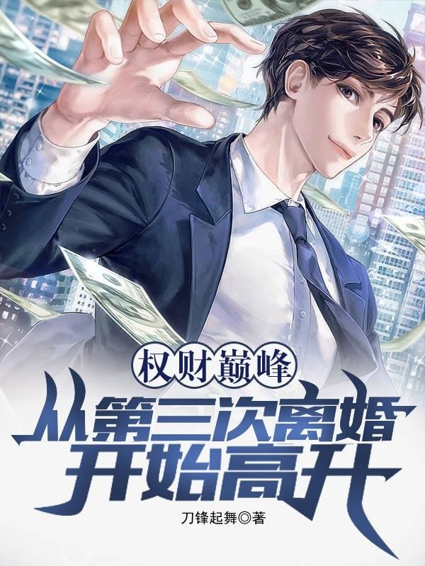权财巅峰,从第三次离婚开始高升封面