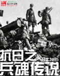 抗日之兵魂传说封面